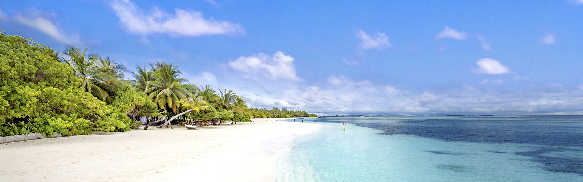 Kein Bild verfügbar.